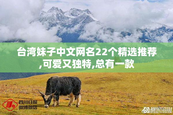 台湾妹子中文网名22个精选推荐,可爱又独特,总有一款