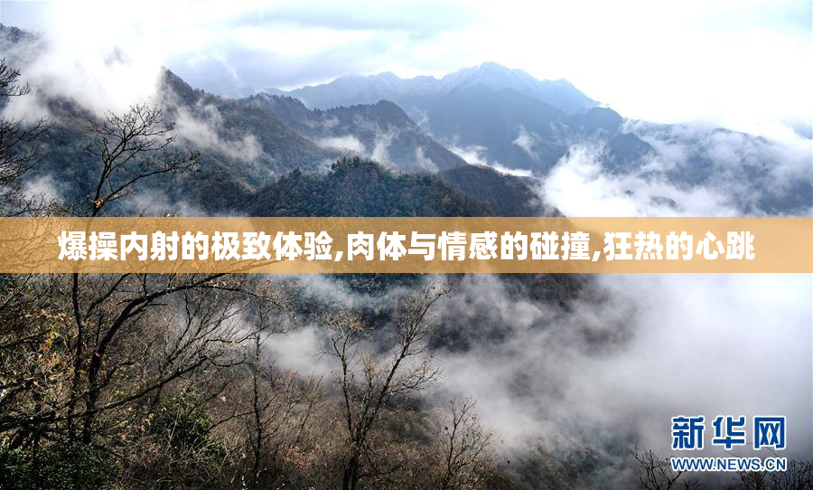 爆操内射的极致体验,肉体与情感的碰撞,狂热的心跳