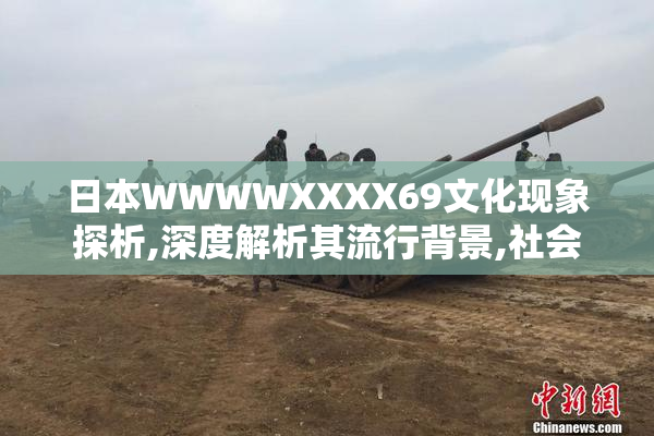 日本WWWWXXXX69文化现象探析,深度解析其流行背景,社会