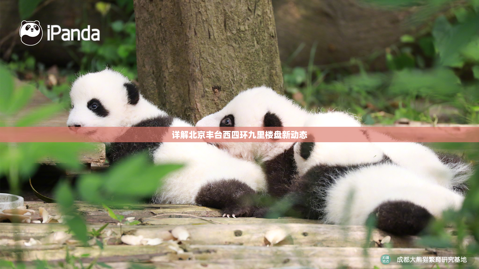 详解北京丰台西四环九里楼盘新动态