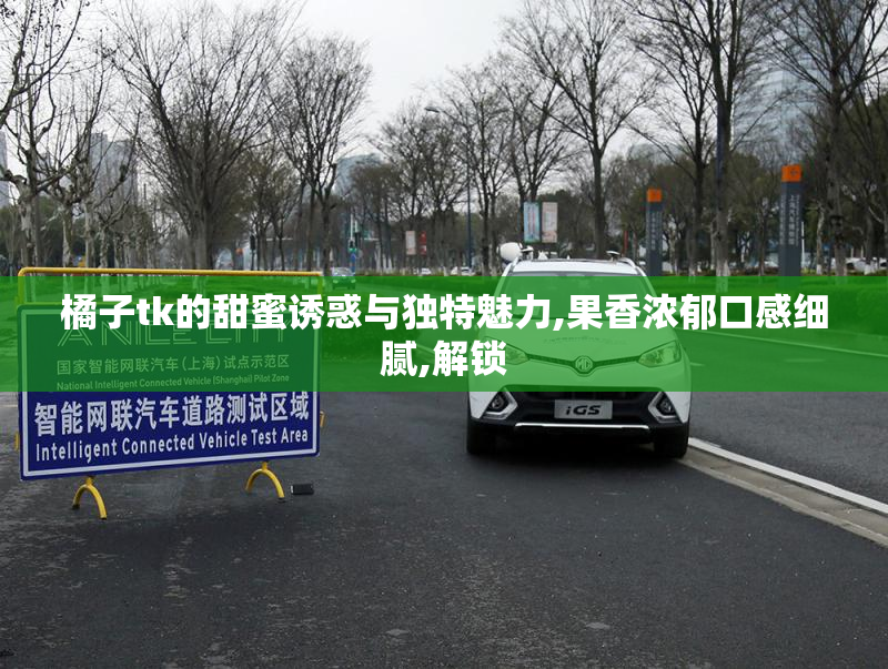 橘子tk的甜蜜诱惑与独特魅力,果香浓郁口感细腻,解锁
