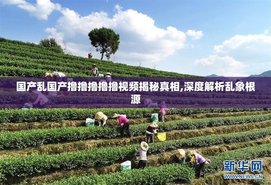 国产乱国产撸撸撸撸撸视频揭秘真相,深度解析乱象根源