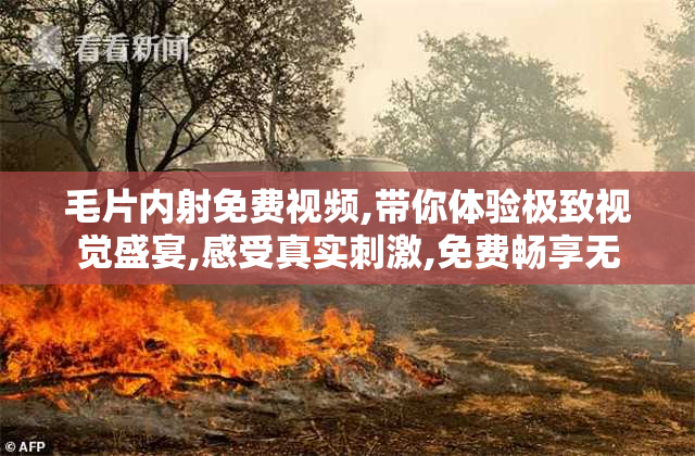 毛片内射免费视频,带你体验极致视觉盛宴,感受真实刺激,免费畅享无