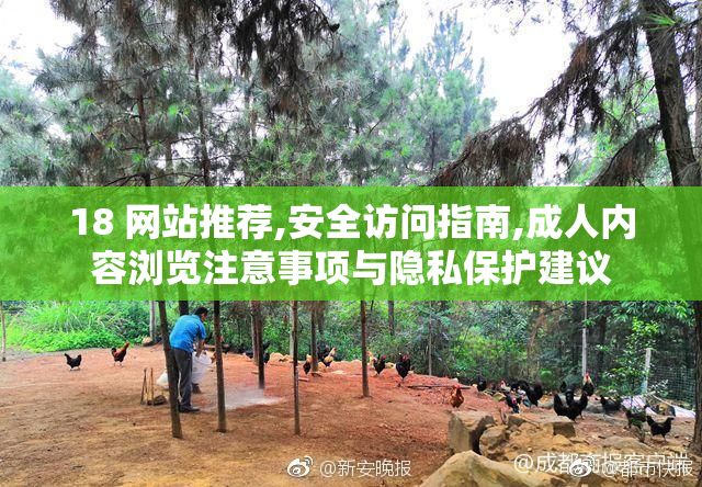 18 网站推荐,安全访问指南,成人内容浏览注意事项与隐私保护建议