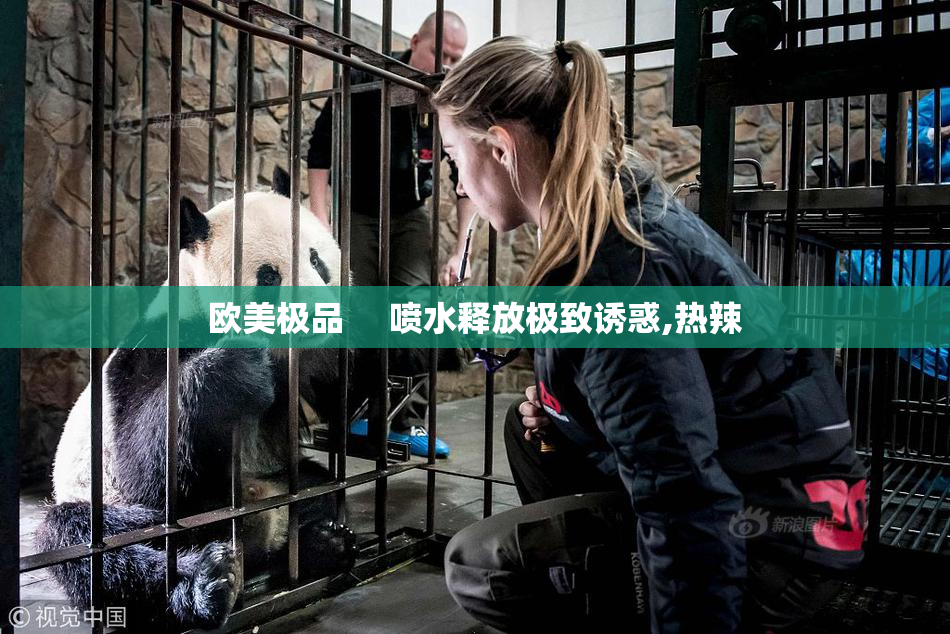 欧美极品     喷水释放极致诱惑,热辣