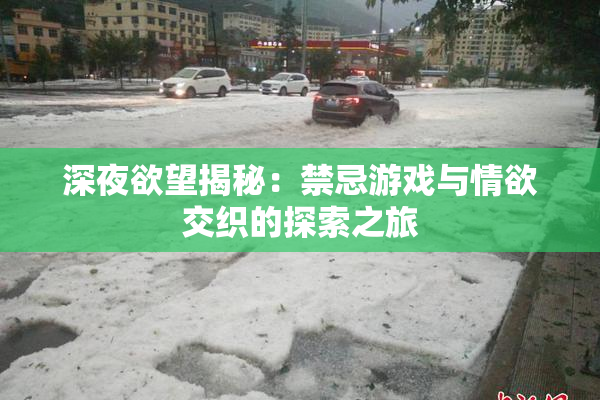 深夜欲望揭秘：禁忌游戏与情欲交织的探索之旅