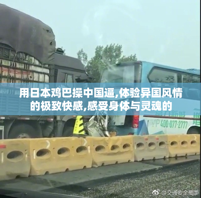 用日本鸡巴操中国逼,体验异国风情的极致快感,感受身体与灵魂的