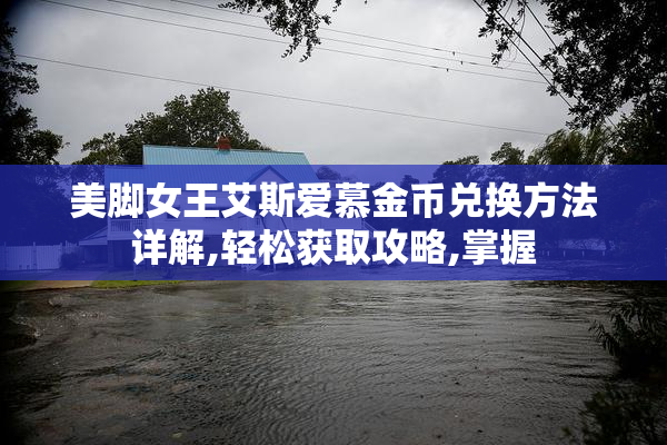美脚女王艾斯爱慕金币兑换方法详解,轻松获取攻略,掌握