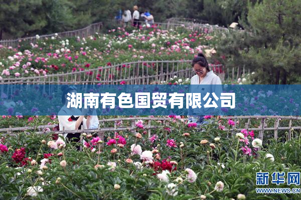 湖南有色国贸有限公司