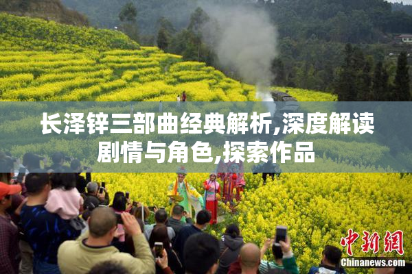 长泽锌三部曲经典解析,深度解读剧情与角色,探索作品