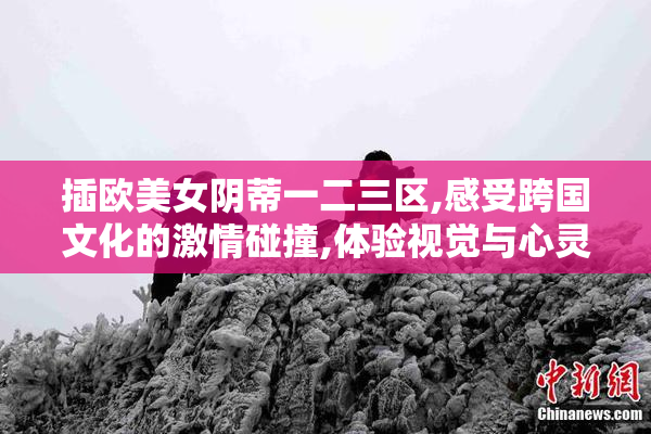 插欧美女阴蒂一二三区,感受跨国文化的激情碰撞,体验视觉与心灵的