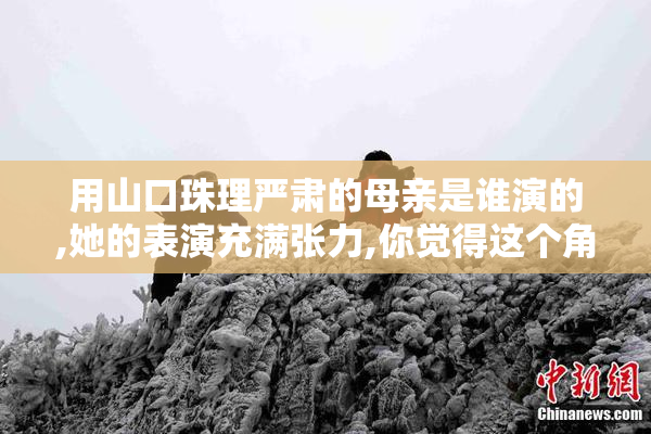 用山口珠理严肃的母亲是谁演的,她的表演充满张力,你觉得这个角色