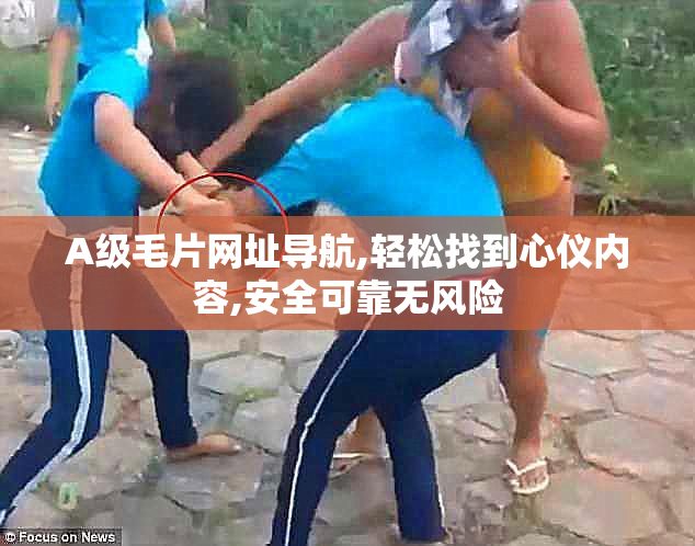 A级毛片网址导航,轻松找到心仪内容,安全可靠无风险