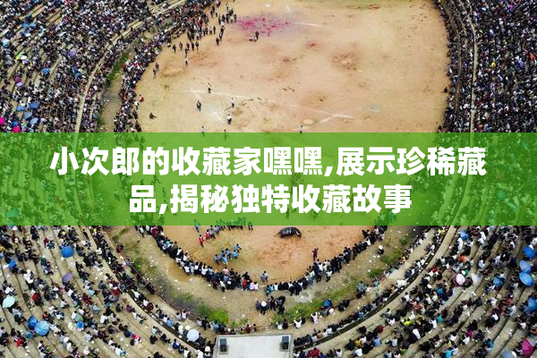 小次郎的收藏家嘿嘿,展示珍稀藏品,揭秘独特收藏故事