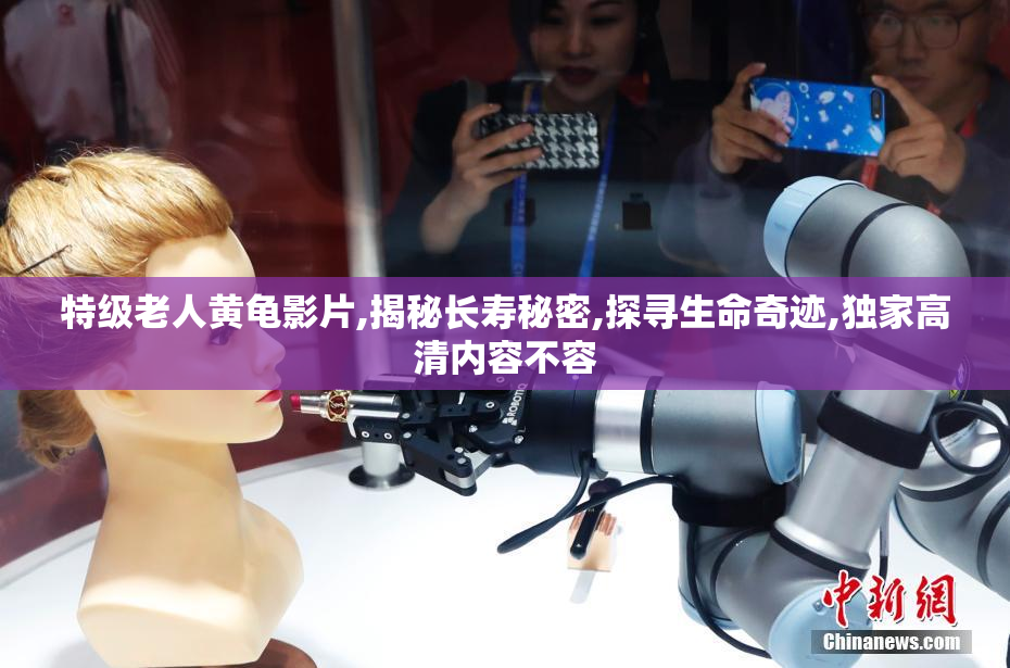 特级老人黄龟影片,揭秘长寿秘密,探寻生命奇迹,独家高清内容不容