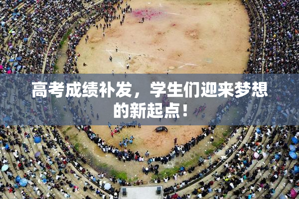 高考成绩补发，学生们迎来梦想的新起点！