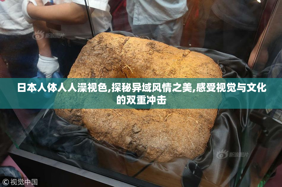 日本人体人人澡视色,探秘异域风情之美,感受视觉与文化的双重冲击