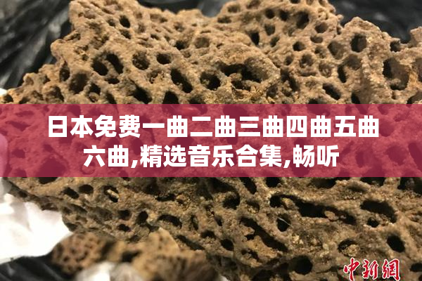 日本免费一曲二曲三曲四曲五曲六曲,精选音乐合集,畅听