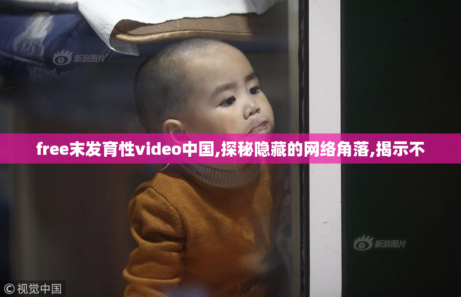 free末发育性video中国,探秘隐藏的网络角落,揭示不