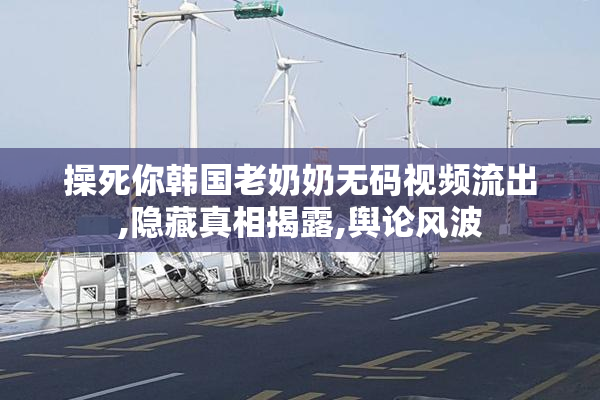 操死你韩国老奶奶无码视频流出,隐藏真相揭露,舆论风波