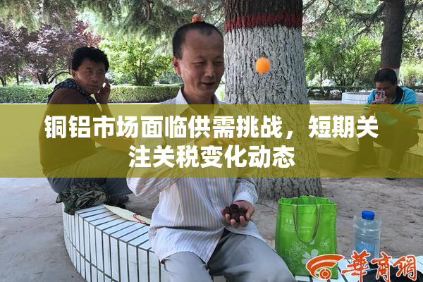 铜铝市场面临供需挑战，短期关注关税变化动态