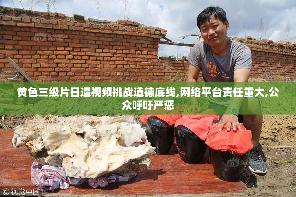 黄色三级片日逼视频挑战道德底线,网络平台责任重大,公众呼吁严惩