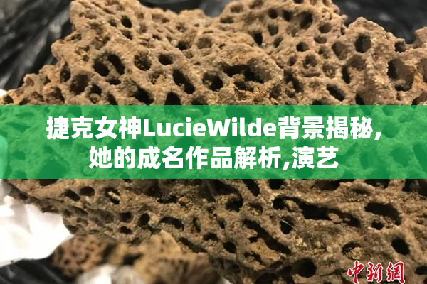 捷克女神LucieWilde背景揭秘,她的成名作品解析,演艺