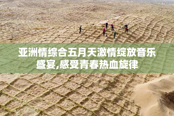 亚洲情综合五月天激情绽放音乐盛宴,感受青春热血旋律