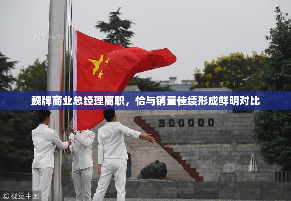 魏牌商业总经理离职，恰与销量佳绩形成鲜明对比