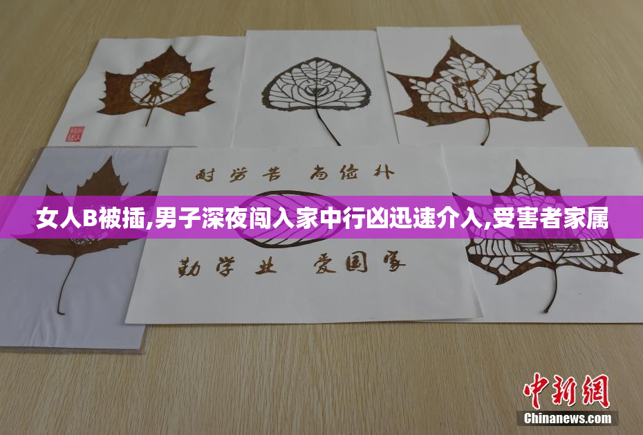 女人B被插,男子深夜闯入家中行凶迅速介入,受害者家属