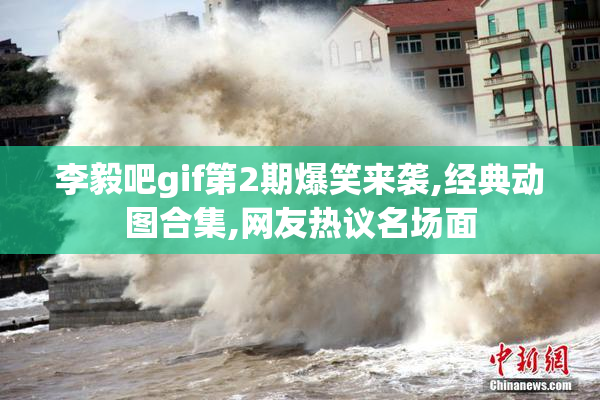李毅吧gif第2期爆笑来袭,经典动图合集,网友热议名场面