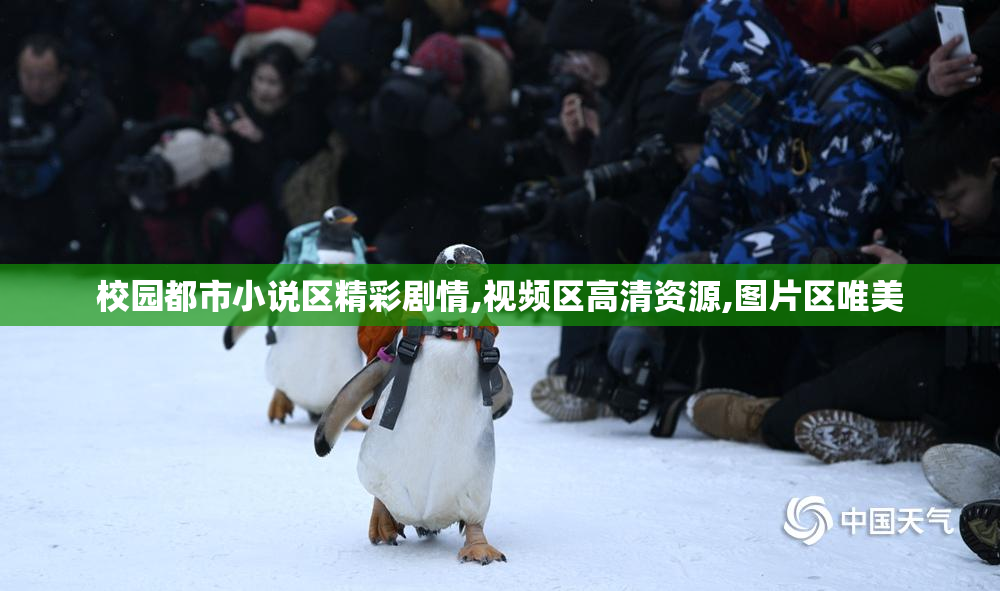 校园都市小说区精彩剧情,视频区高清资源,图片区唯美