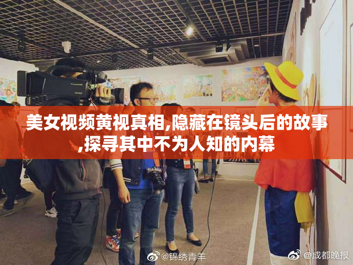 美女视频黄视真相,隐藏在镜头后的故事,探寻其中不为人知的内幕