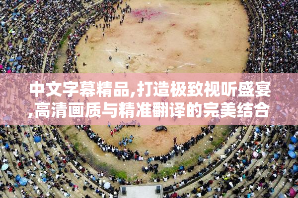 中文字幕精品,打造极致视听盛宴,高清画质与精准翻译的完美结合