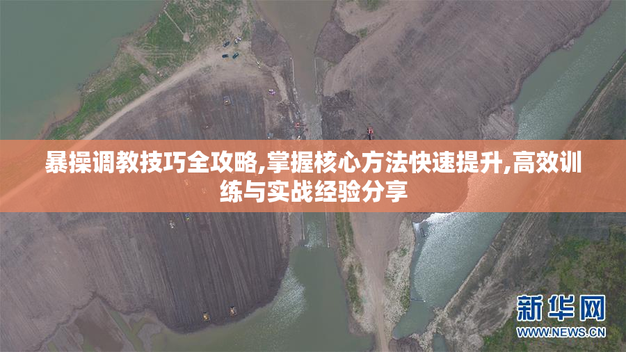 暴操调教技巧全攻略,掌握核心方法快速提升,高效训练与实战经验分享