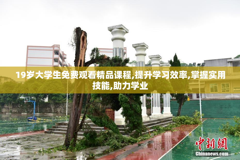 19岁大学生免费观看精品课程,提升学习效率,掌握实用技能,助力学业