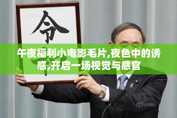 午夜福利小电影毛片,夜色中的诱惑,开启一场视觉与感官