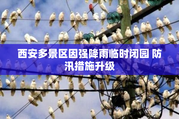 西安多景区因强降雨临时闭园 防汛措施升级