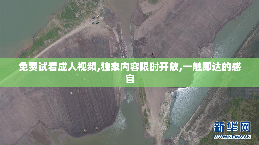 免费试看成人视频,独家内容限时开放,一触即达的感官