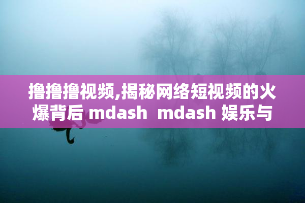 撸撸撸视频,揭秘网络短视频的火爆背后 mdash  mdash 娱乐与监管