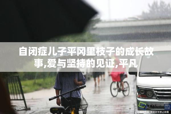 自闭症儿子平冈里枝子的成长故事,爱与坚持的见证,平凡