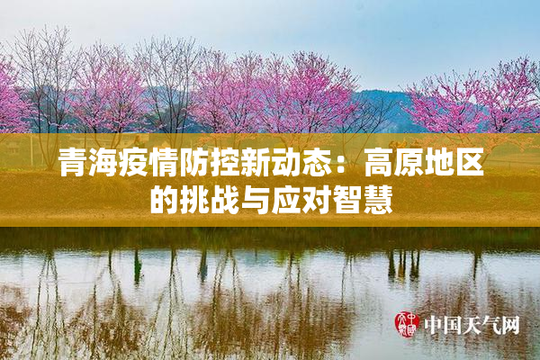 青海疫情防控新动态：高原地区的挑战与应对智慧