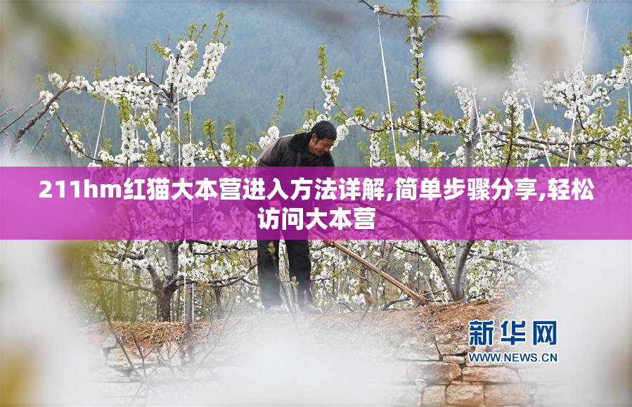 211hm红猫大本营进入方法详解,简单步骤分享,轻松访问大本营
