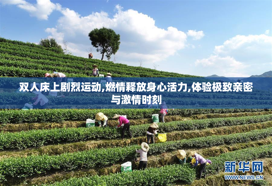 双人床上剧烈运动,燃情释放身心活力,体验极致亲密与激情时刻