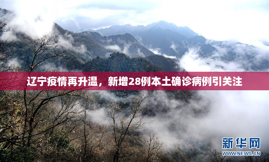 辽宁疫情再升温，新增28例本土确诊病例引关注