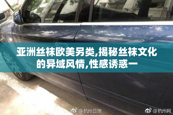 亚洲丝袜欧美另类,揭秘丝袜文化的异域风情,性感诱惑一