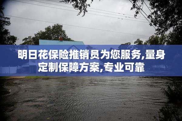 明日花保险推销员为您服务,量身定制保障方案,专业可靠