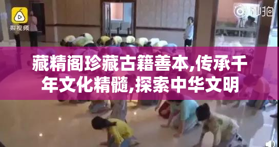 藏精阁珍藏古籍善本,传承千年文化精髓,探索中华文明