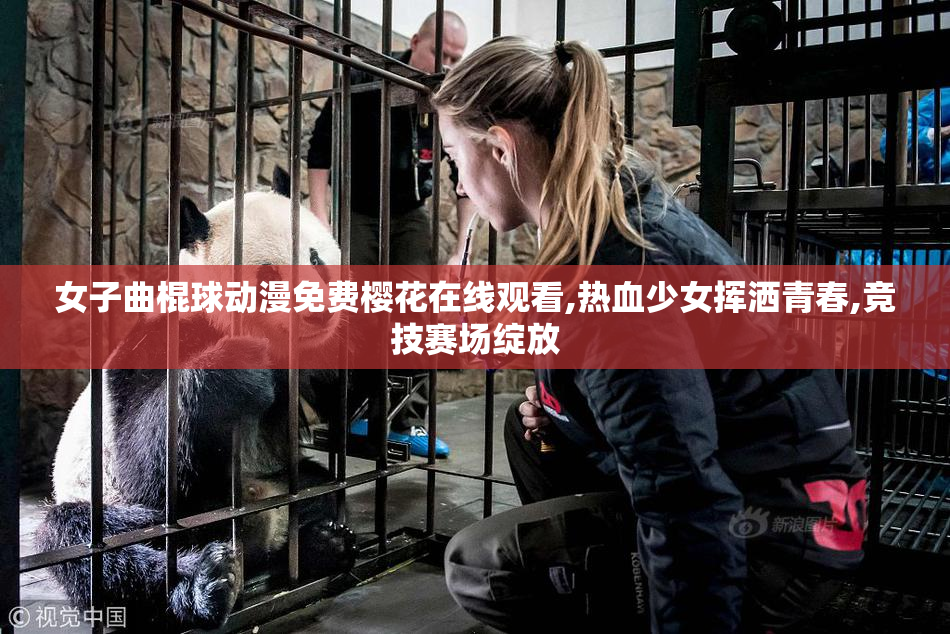 女子曲棍球动漫免费樱花在线观看,热血少女挥洒青春,竞技赛场绽放