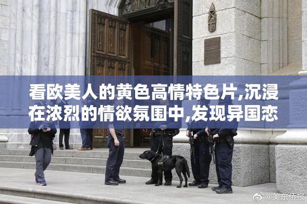 看欧美人的黄色高情特色片,沉浸在浓烈的情欲氛围中,发现异国恋情